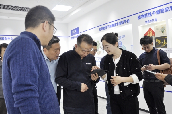 _DSC0024_副本_副本.jpg