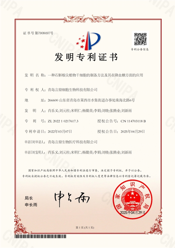 一种石斛根尖植物干细胞的造备步骤及其在降血糖方面的利用 一种石斛根尖植物干细胞的造备步骤及其在降血糖方面的利用.jpg