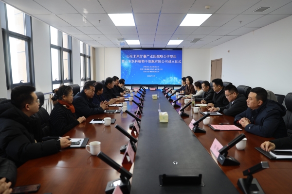 微信图片_20260207091203_517_3 微信图片_20260207091203_517_3.jpg