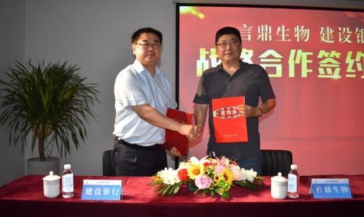 今日头条 数字山东：清风徐来，花自盛开——强强结合再添新同伴