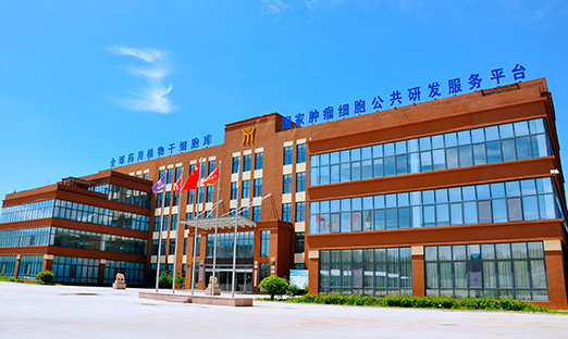 喜报！新葡的京集团350vip8888生物牵头项目获批科技部国度沉点研发打算沉点专项