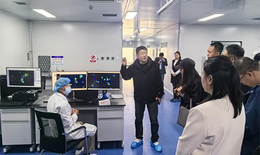 通辽发展鼎新委带队赴我市发展场景利用尝试室“金融媒体杏妆活动